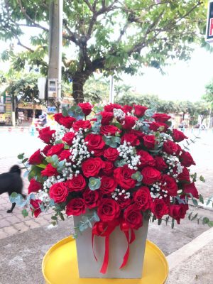 Shop Hoa Tươi Thị trấn An Lạc Thôn, Kế Sách, Sóc Trăng