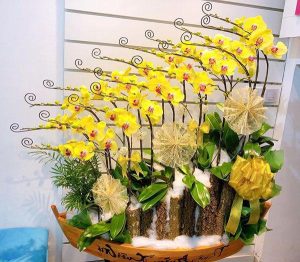 Shop Hoa Tươi Thị trấn Phú Lộc, Thạnh Trị, Sóc Trăng