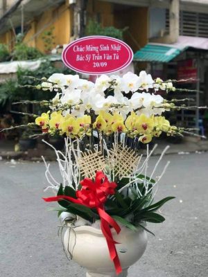 Shop Hoa Tươi Thị trấn An Lạc Thôn, Kế Sách, Sóc Trăng