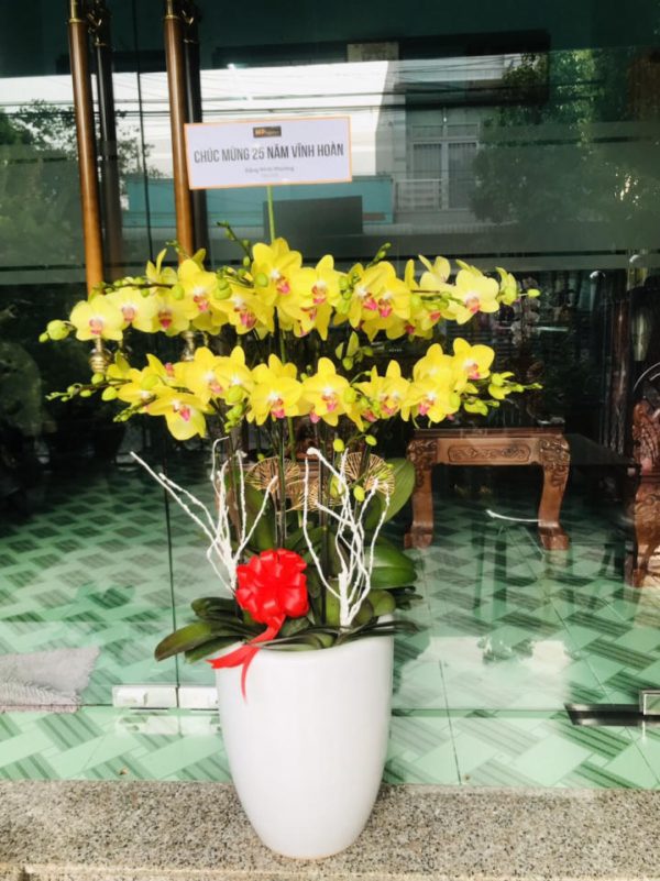 Shop Hoa Tươi Hoà Thành, Tây Ninh
